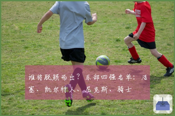 谁将脱颖而出？东部四强名单：活塞、凯尔特人、尼克斯、骑士